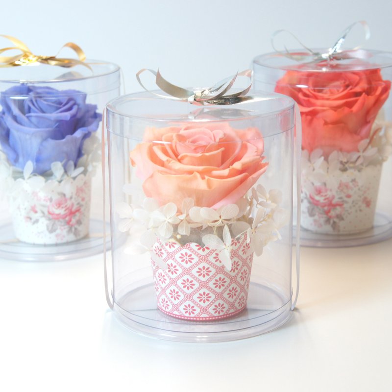 《NEW》粉橘色不凋花 杯子蛋糕花礼 - 植栽/盆栽 - 纸 橘色