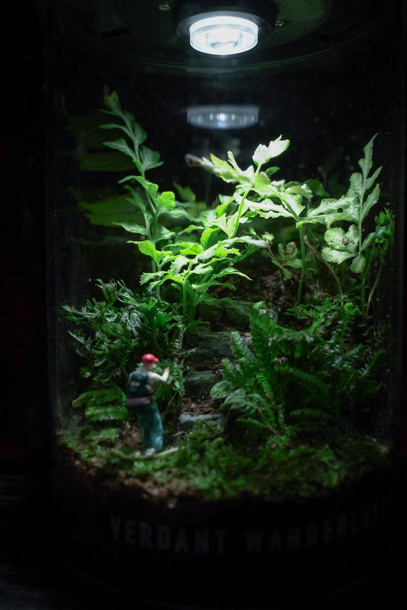 【生态瓶－边界之后】微景观 室内植栽 礼物 办公室摆设 - 植栽/盆栽 - 植物．花 绿色