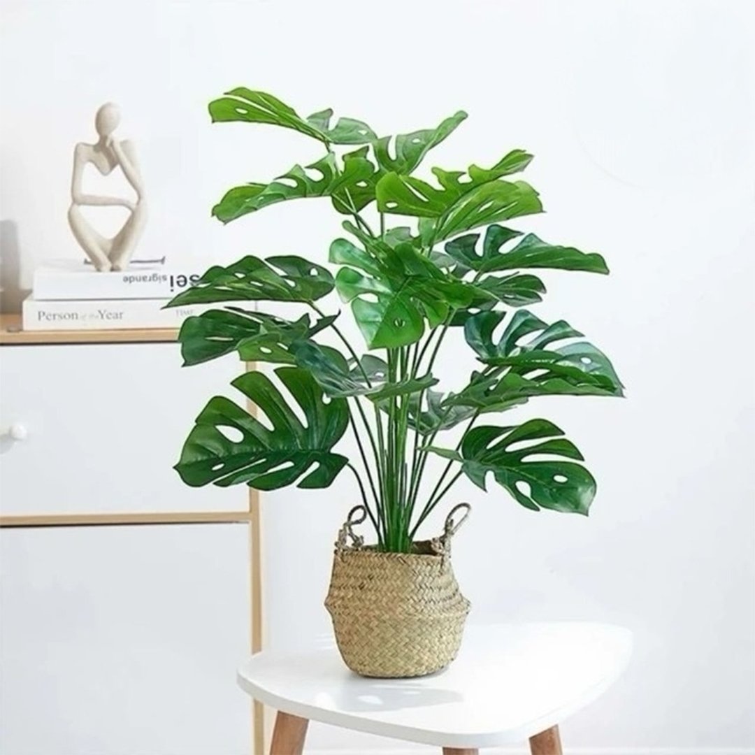 室内绿植首选南洋龟背竹仿真植栽 - 摆饰 - 塑料 绿色