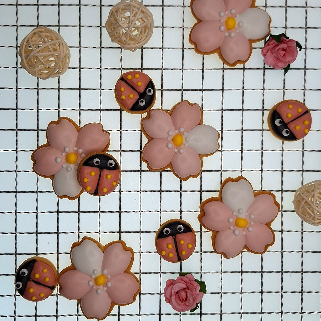 【温蒂泡芙】造型糖霜饼干-樱花瓢虫1+1款 - 手工饼干 - 其他材质 