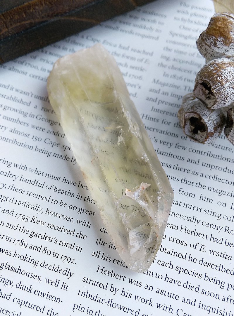 Citrine 赞比亚产地 黄水晶 单晶柱 天然矿石 原矿 - 摆饰 - 其他材质 