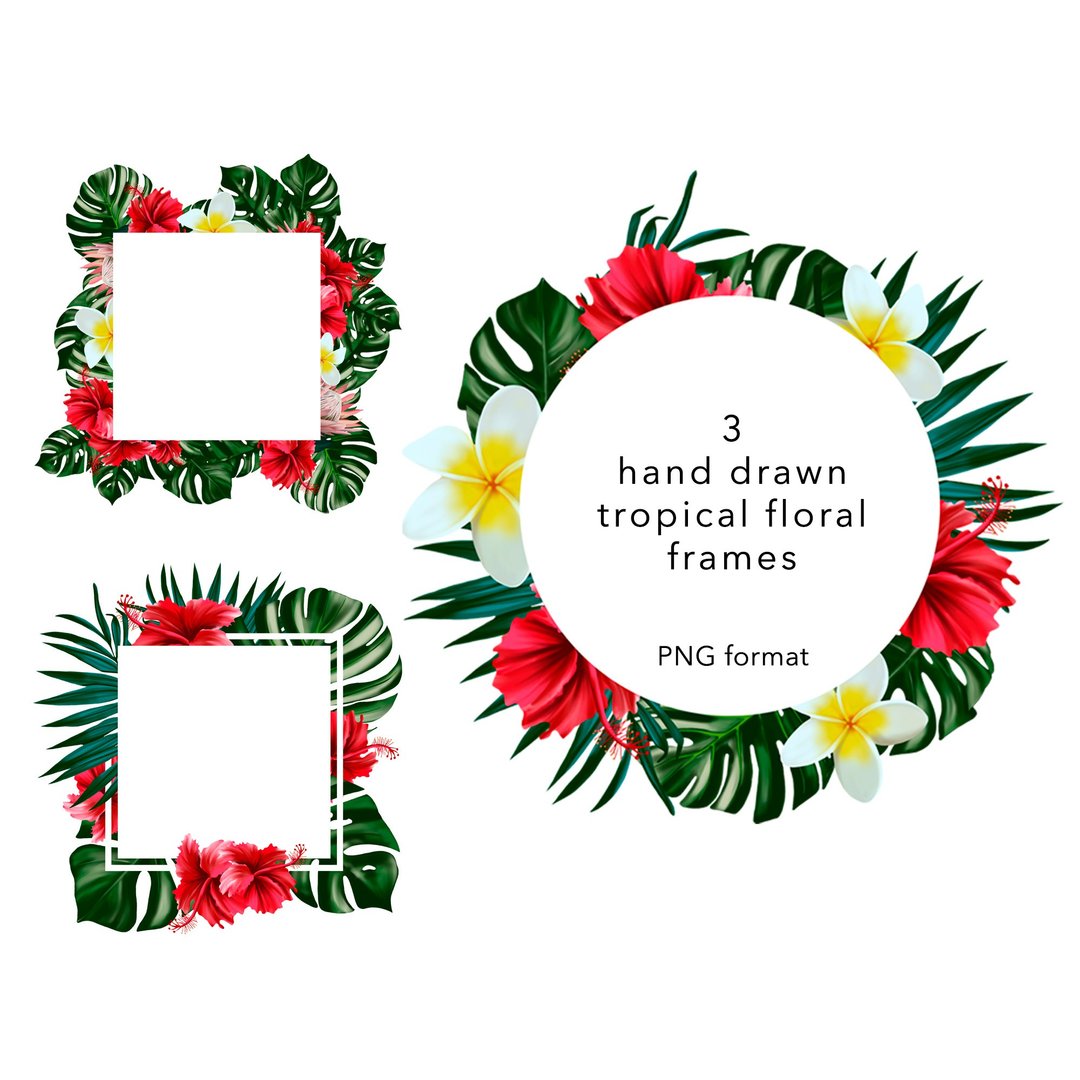 Tropical flowers and leafs frame, monstera, frangipani, protea - 其他 - 其他材质 
