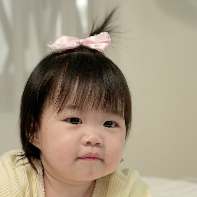 NO.95 蝴蝶结发夹 - 发饰 - 其他材质 