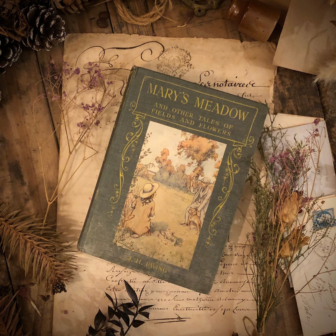 1915年英国出版百年Juliana Horatia Ewing作品Mary's Meadow - 刊物/书籍 - 纸 银色