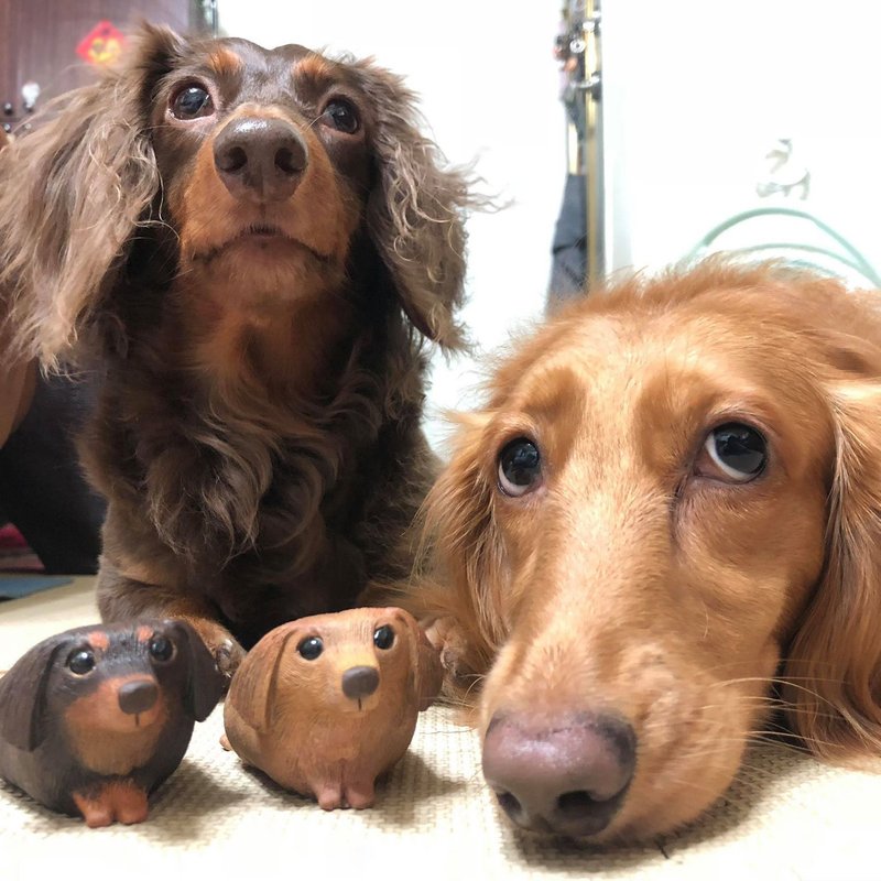 定制化 疗愈圆滚滚系列-腊肠狗Dachshund - 摆饰 - 树脂 