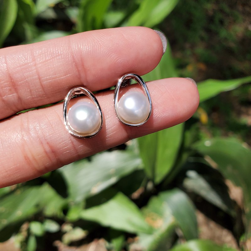 。简约完美。天然淡水亮白圆珍珠。鹅蛋形耳钉。925纯银耳环。 - 耳环/耳夹 - 珍珠 白色