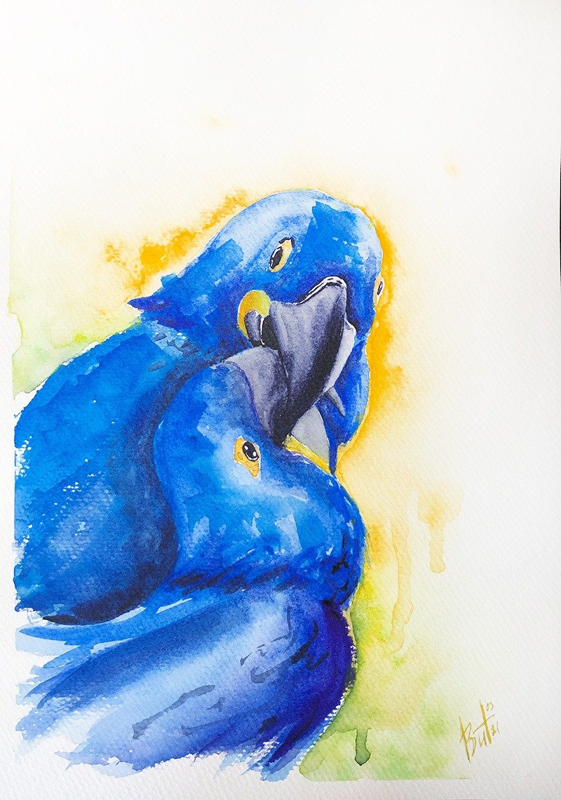 Hyacinth Macaws Painting Blue Bird Original Artwork Kiss Watercolor Wall Art - 海报/装饰画/版画 - 纸 蓝色