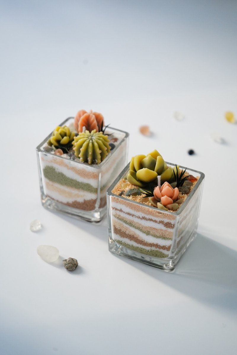 MYDiy Box Set - #03 天然多肉盆栽蜡烛 - 蜡烛/香氛/手工皂 - 蜡 