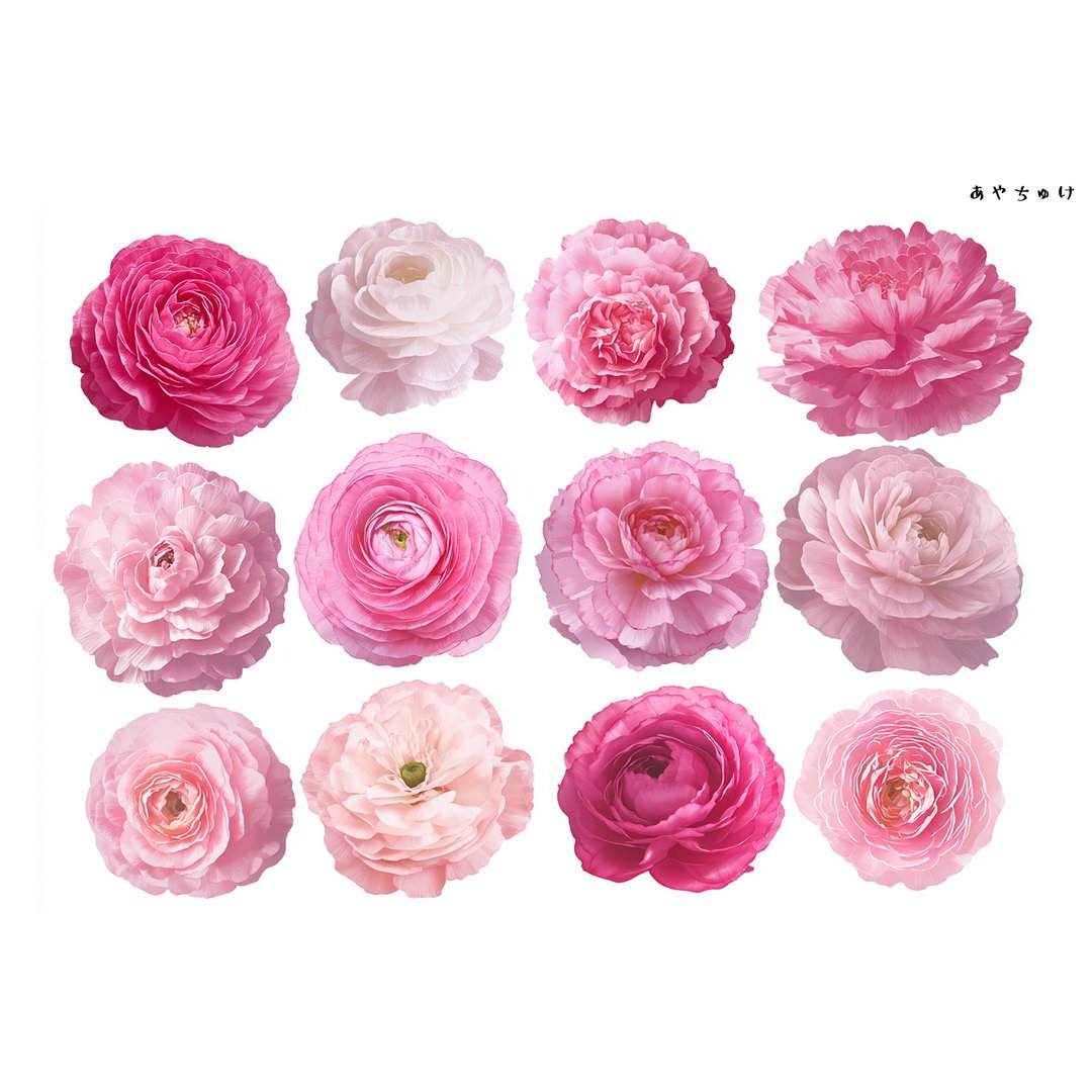 【10月新品4】20-22-0016 剪裁纸・拼贴素材 毛茛属 - 贴纸 - 纸 