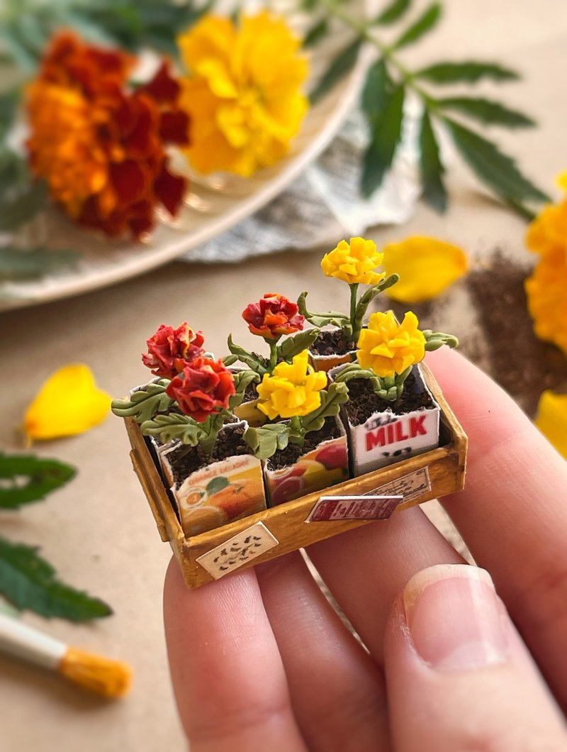 微型花园装饰，盒子里的花苗 - 玩偶/公仔 - 其他材质 多色