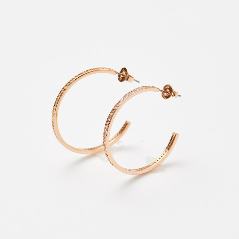 精巧璀璨排钻耳环 (L) - 耳环/耳夹 - 铜/黄铜 金色