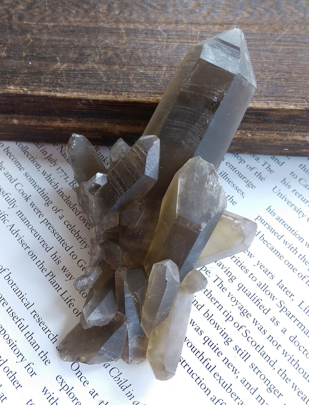 Smoky Quartz 马达加斯加产地 茶晶 水晶晶簇 天然矿石 原矿 - 摆饰 - 其他材质 