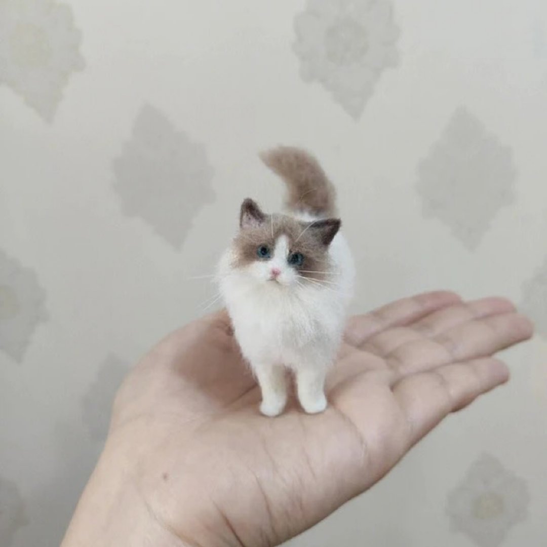 定制化礼物 逼真猫猫 羊毛毡 毛孩 宠物 娃娃 猫咪猫奴 似颜绘 s2 - 玩具 - 羊毛 多色