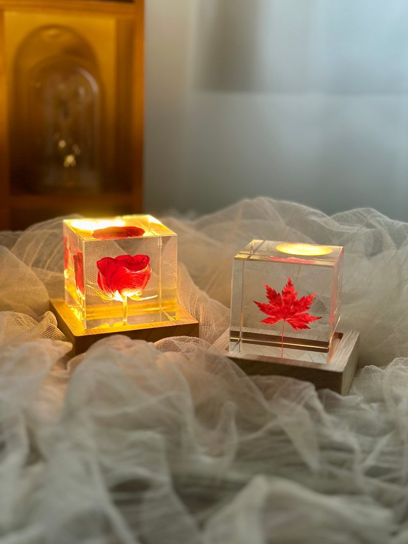 永生花植物标本装饰灯 玫瑰蒲公英不凋花礼品 - 灯具/灯饰 - 植物．花 