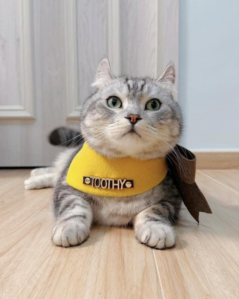 定制化宠物围兜/领巾/口水巾/围巾 定制名字私人订制 柠檬黄 - 衣/帽 - 其他材质 黄色