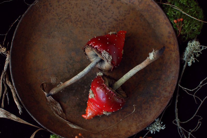 Textile mushroom, decorative interior mushroom, textile fly agaric - 其他家具 - 其他材质 