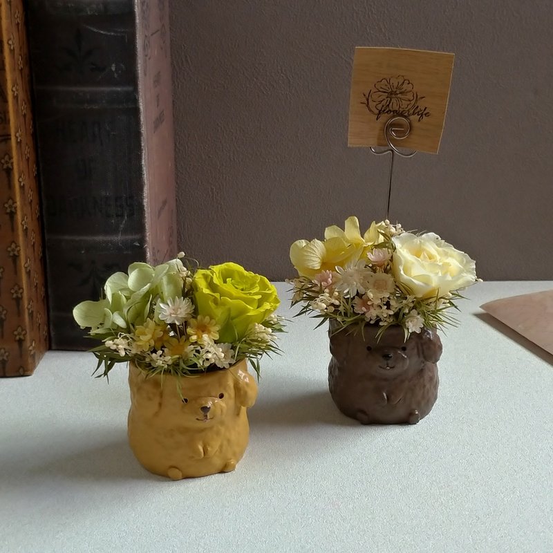 【汪汪│贵宾】memo夹桌花│永生花│干燥花 - 干燥花/捧花 - 植物．花 