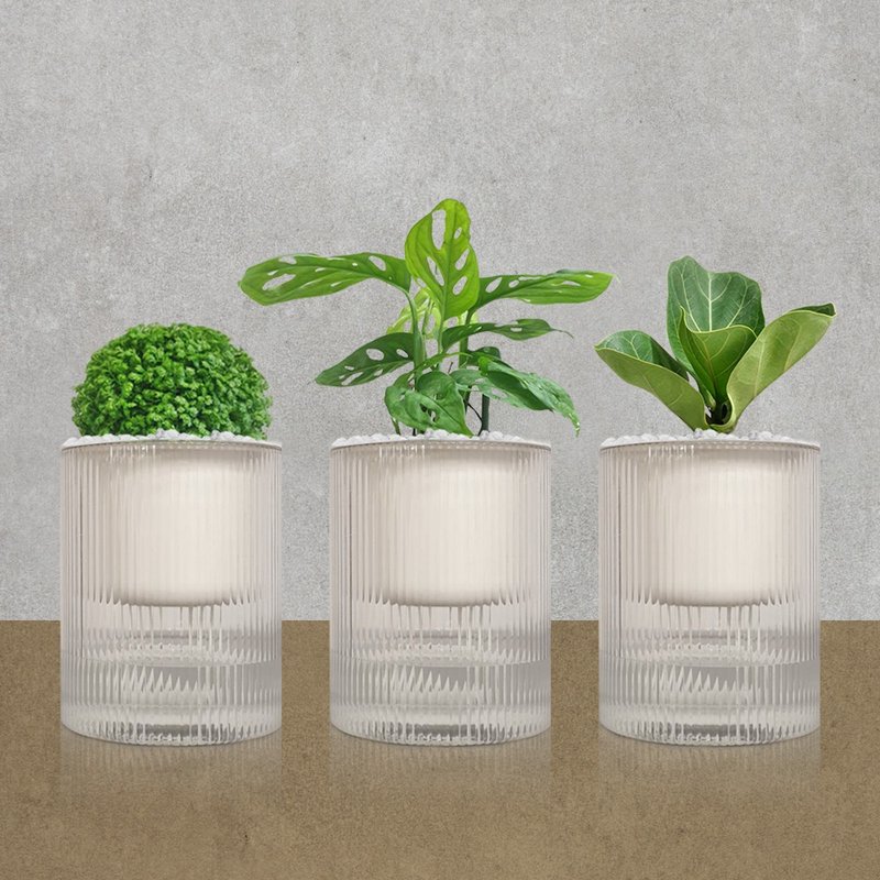 植栽 室内盆栽 无印风三盆 植物盆栽 - 植栽/盆栽 - 塑料 绿色