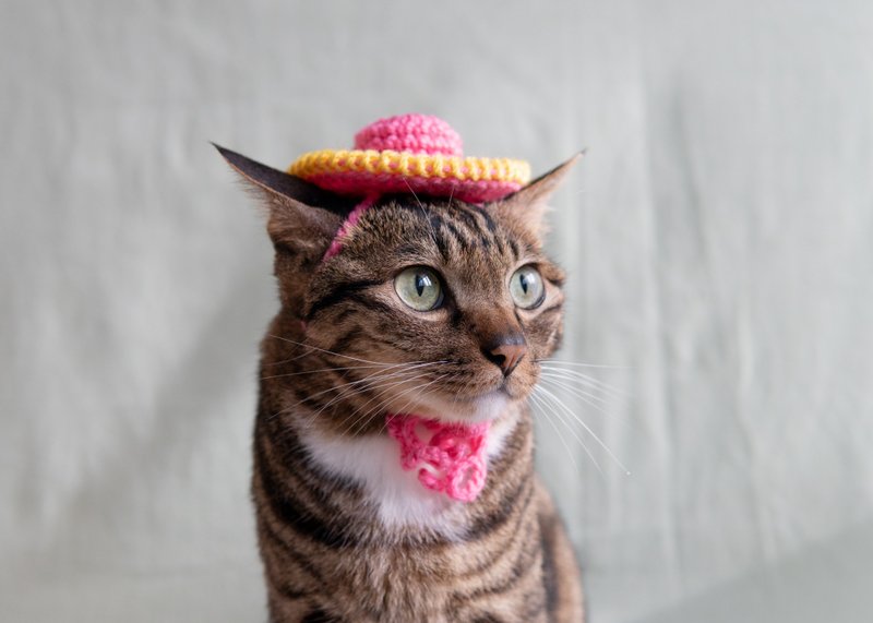 【草帽・麦わら帽子】宠物饰品 猫咪/狗狗 -  桃红X黄色圆边帽子 - 衣/帽 - 其他材质 粉红色