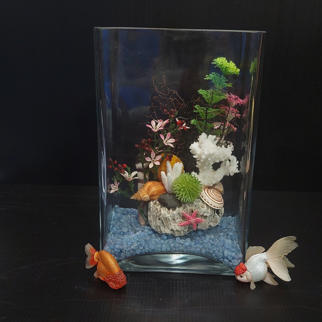 鱼缸 珊瑚海景、流木水草 组合造景 AM-003-M-03 - 植栽/盆栽 - 玻璃 