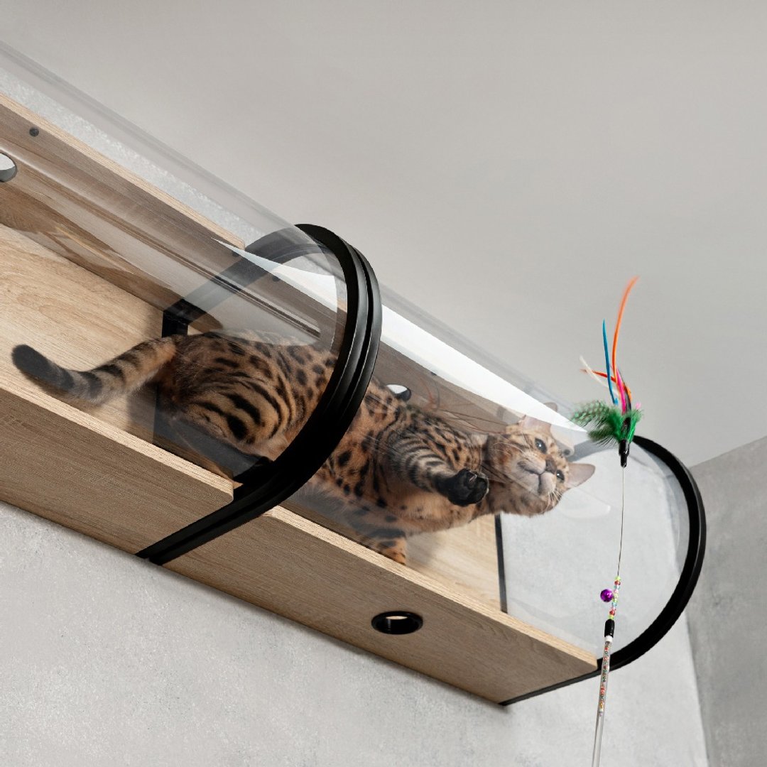 猫隧道 Tunnel-黑色 - 玩具 - 木头 卡其色