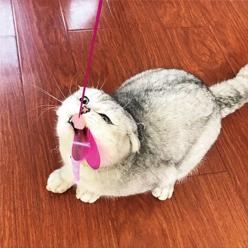【日本CattyMan】亮晶晶好好玩~绚彩昆虫逗猫棒 - 玩具 - 其他材质 多色