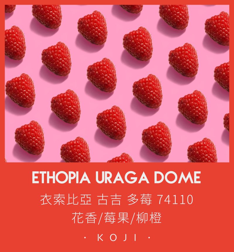 埃塞俄比亚 浅烘焙 古吉 多莓 乌拉嘎 日晒 咖啡豆 挂耳包 - 咖啡 - 新鲜食材 白色