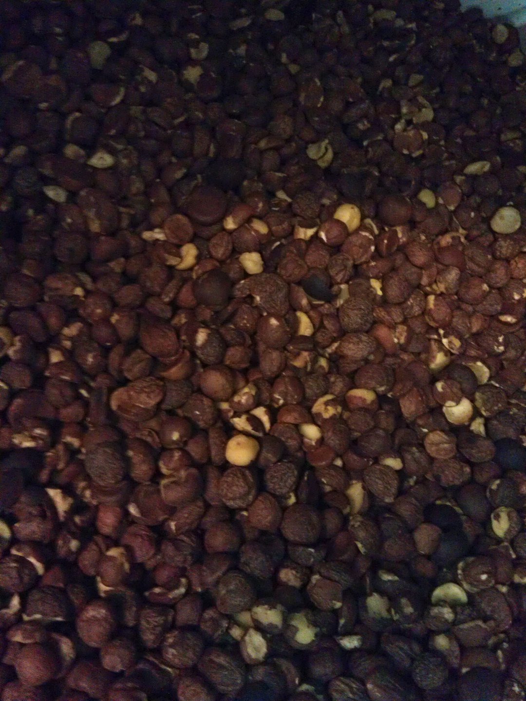 本草堂台湾小果茶油 低温焙干 初榨苦茶油 玻璃易碎只提供宅配 - 酱料/调味料 - 玻璃 咖啡色