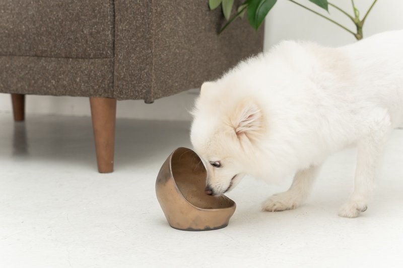 Golden Ceramic  ペットボウル　食器スタンド　小型犬　中型犬　ネコ　陶器 - 碗/碗架 - 陶 金色