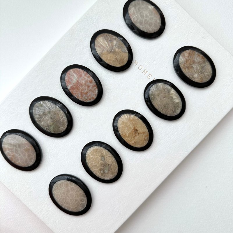 【珊瑚化石 转化之石】佩托斯基石椭圆块 办公室或家中疗愈设备 - 摆饰 - 石头 咖啡色