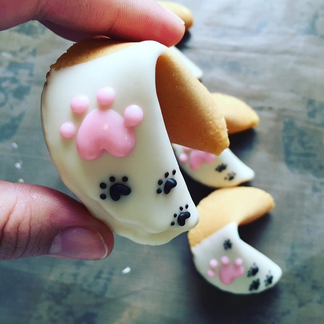 【动物幸运签饼：猫掌幸运饼干】一步一脚印 - 手工饼干 - 新鲜食材 