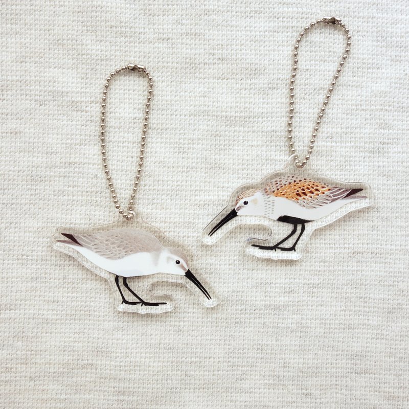 Dunlin Acrylic key chain - 钥匙链/钥匙包 - 压克力 