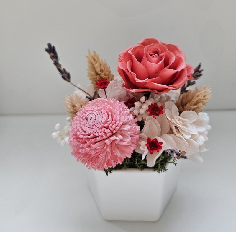 红粉色系永生小桌花 简单可爱 永生玫瑰花礼 干燥花礼 - 干燥花/捧花 - 植物．花 红色