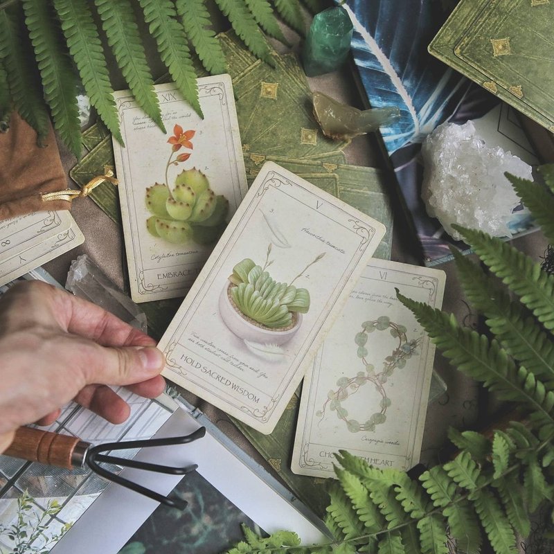 【疗愈植物神谕卡】结合植物图鉴 × 疗愈卡牌 - 桌游/玩具 - 纸 绿色