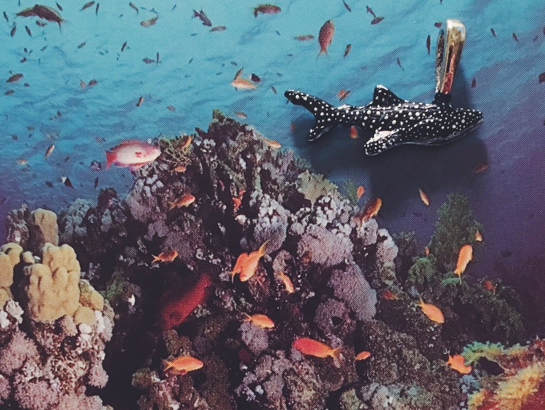 手绘坠子 - 鲸鲨 / whaleshark / ジンベイザメ - 其他 - 铜/黄铜 蓝色