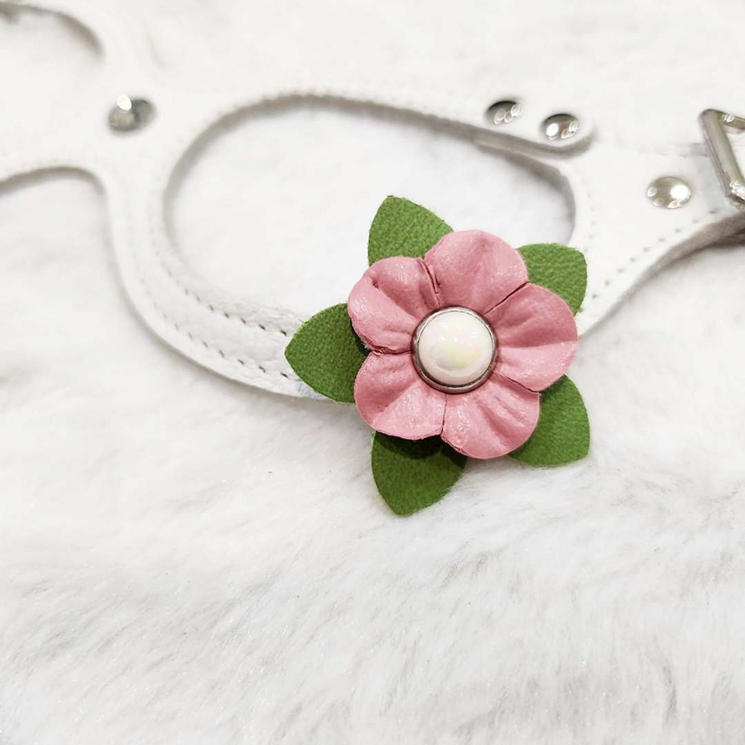 【定制化】Buddy Belts 皮片定制服务(限加购) - 项圈/牵绳 - 人造皮革 