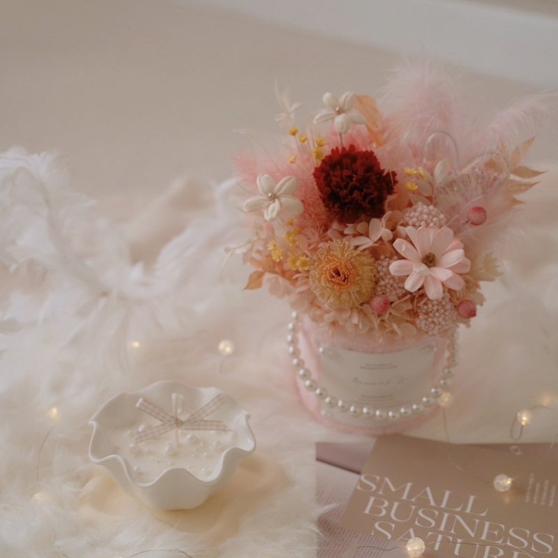 粉色珍珠毛毛永生盆花 质感红康乃馨 贝壳波浪香氛蜡烛 开幕花礼 - 干燥花/捧花 - 植物．花 红色