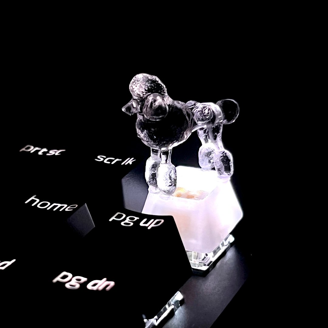 键帽, 狗, 贵宾犬, 透明, 清晰, 游戏, 键盘, cherry MX - 其他 - 塑料 透明