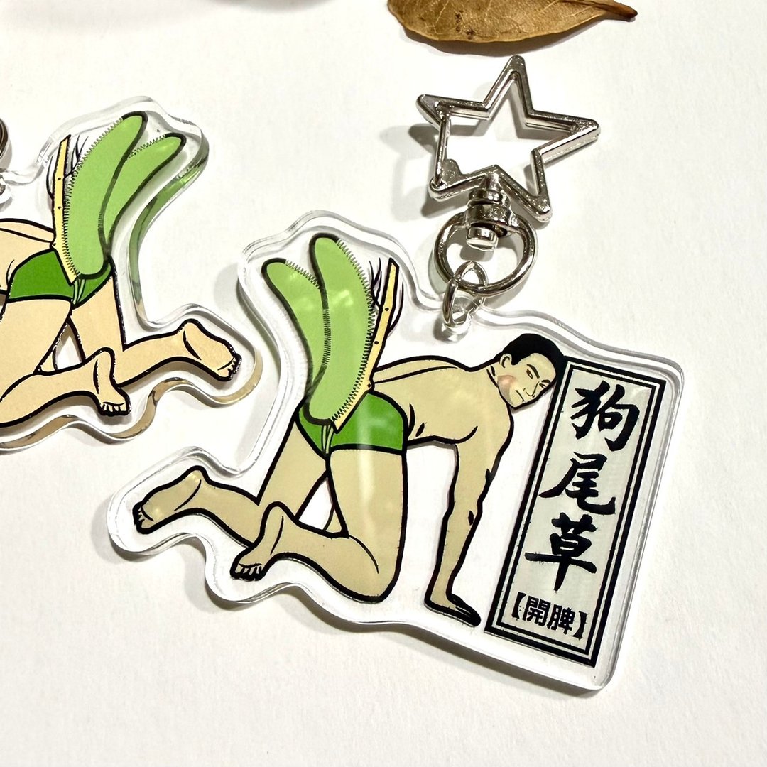 【狗尾草】中药材压克力钥匙圈 - 钥匙链/钥匙包 - 塑料 多色