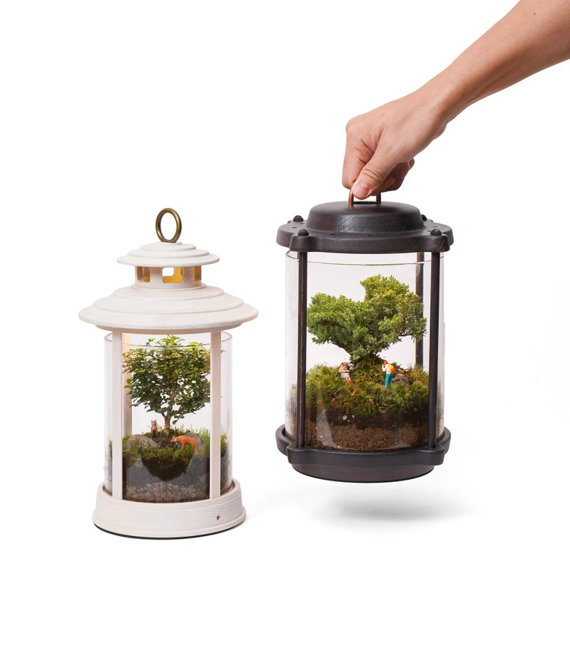 【植物提灯】不含植物原木植物灯 智能APP控制 | Leaf'n Joy 莳光 - 植栽/盆栽 - 木头 