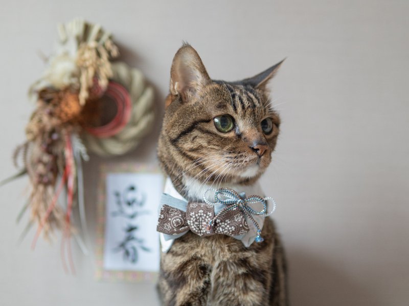 【2026新年】宠物领巾 猫咪/狗狗 振袖和服领巾 男生款 - 午(马) - 项圈/牵绳 - 棉．麻 白色