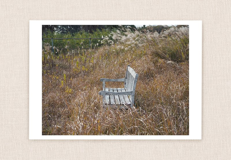 明信片照片 #10 – 3 套 - 卡片/明信片 - 纸 卡其色