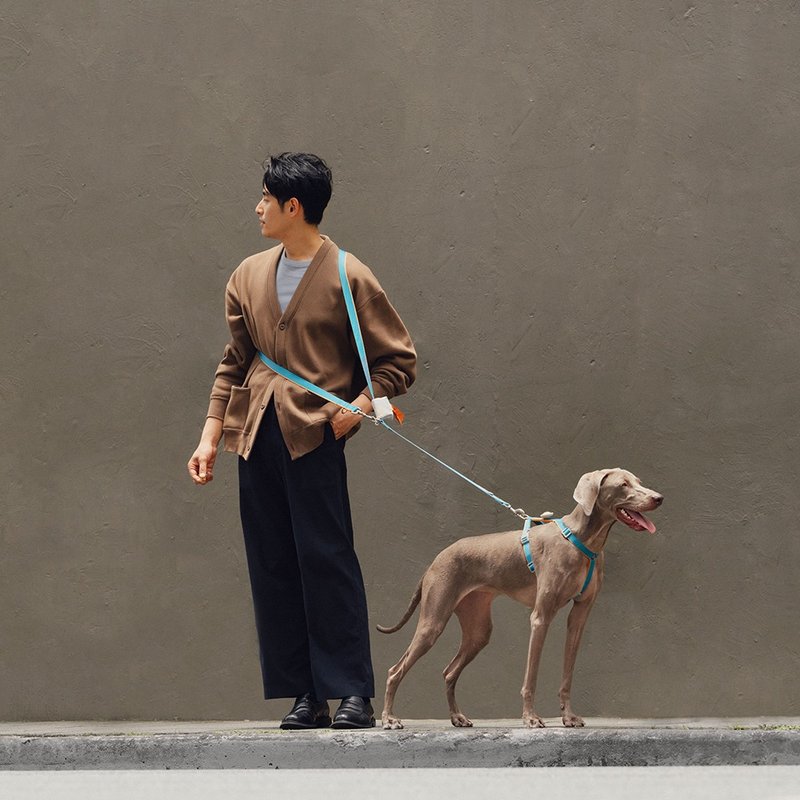 【tails&me 尾巴与我】新经典系列 犬猫共用多功能牵绳(共6色) - 项圈/牵绳 - 尼龙 多色