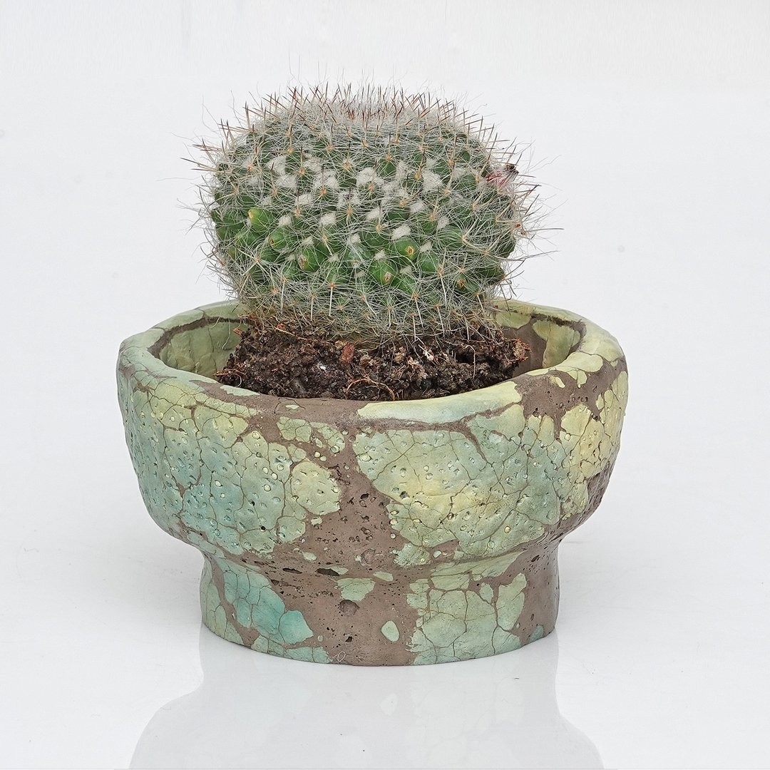 水泥盆器 - 植栽/盆栽 - 水泥 