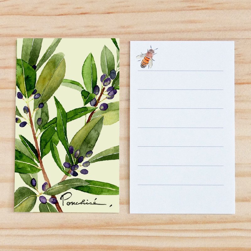 小卡系列 含羞草 10 入组 - 卡片/明信片 - 纸 绿色