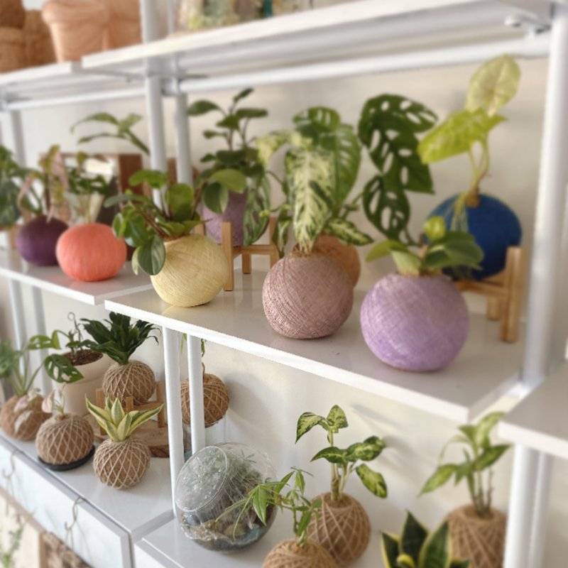 | 桃园青埔 | 企业教学 绿植植栽手作课程 绿沐-手作植栽- 苔球 - 植栽 - 植物．花 