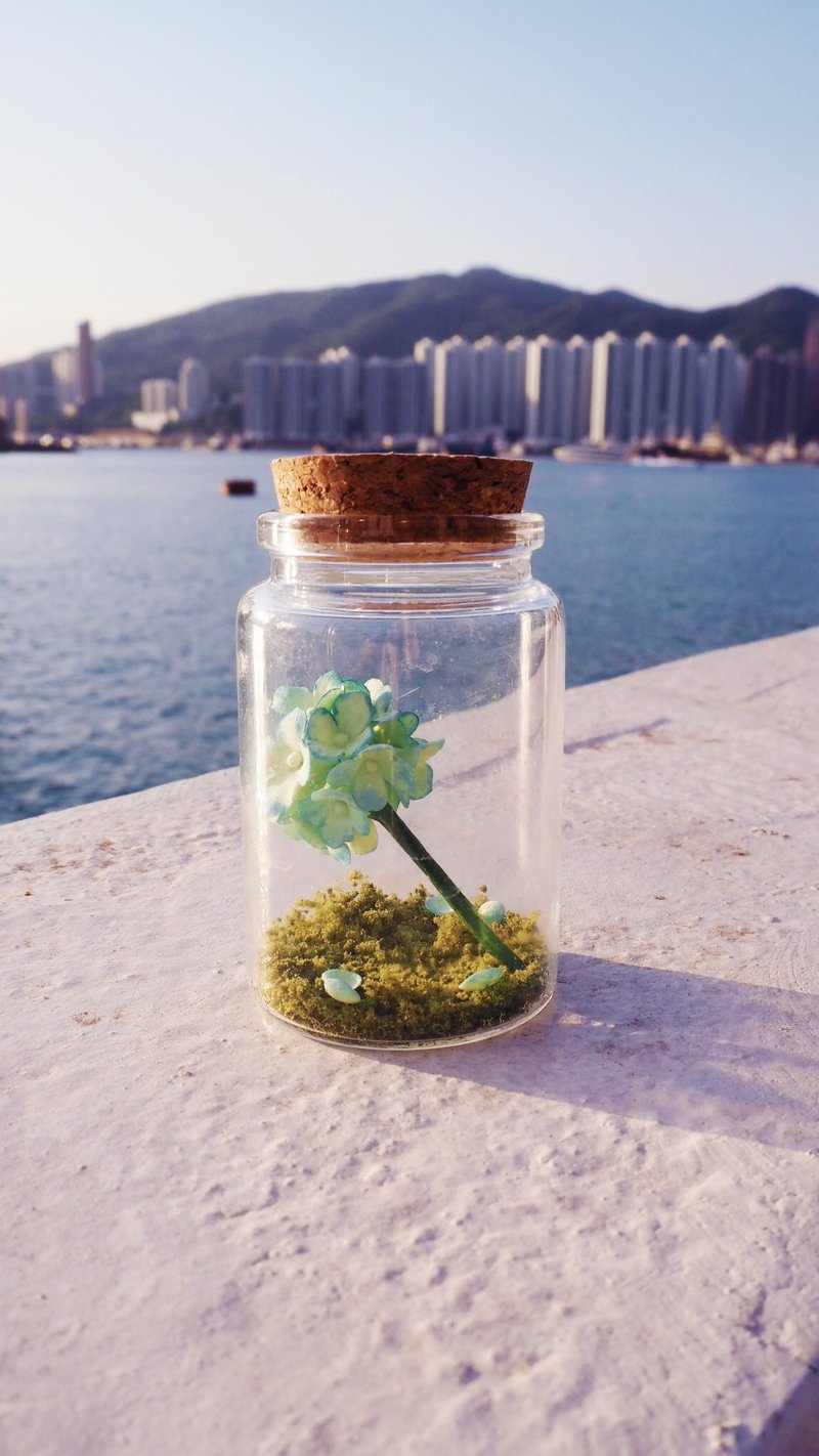 【订】黏土多肉植物 — 樽仔黏土绣球花 - 植栽/盆栽 - 粘土 