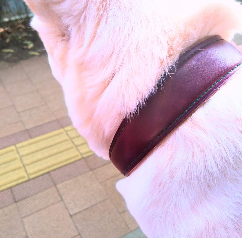 Genuine Leather - Hand Dyed - Hand Sewn Gorgeous Dog Collar - Wine Color - 项圈/牵绳 - 真皮 红色