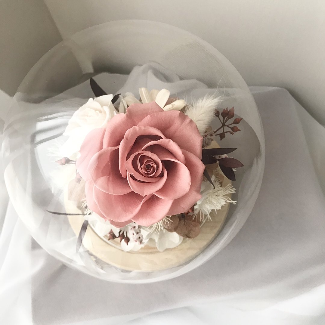 鲑鱼粉永生小夜灯圆形玻璃钟罩 情人节 生日 周年 升迁 求婚礼物 - 干燥花/捧花 - 植物．花 多色