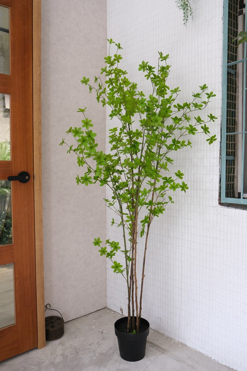 人造植栽/仿真吊钟树/仿真植物/绿化/永不凋零 - 植栽/盆栽 - 防水材质 绿色